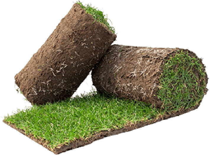 Graszoden van GewoonGroenGras