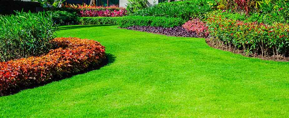 echt gras of kunstgras - gewoon groen gras