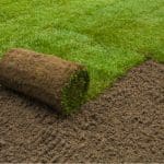 premium graszoden - gewoon groen gras