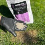 Groen Gras Graszaad Renovatiepakket