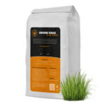 Gewoon Groen Gras in de zomer