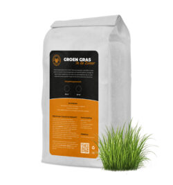 Gewoon Groen Gras in de zomer