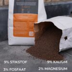 Gewoon Groen Gras in de zomer