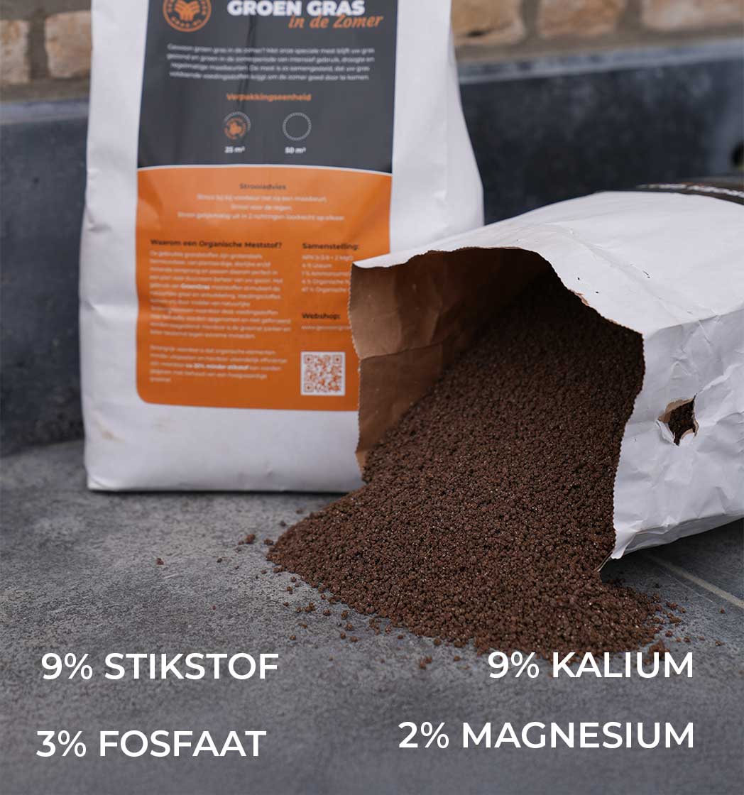 Gewoon Groen Gras in de zomer