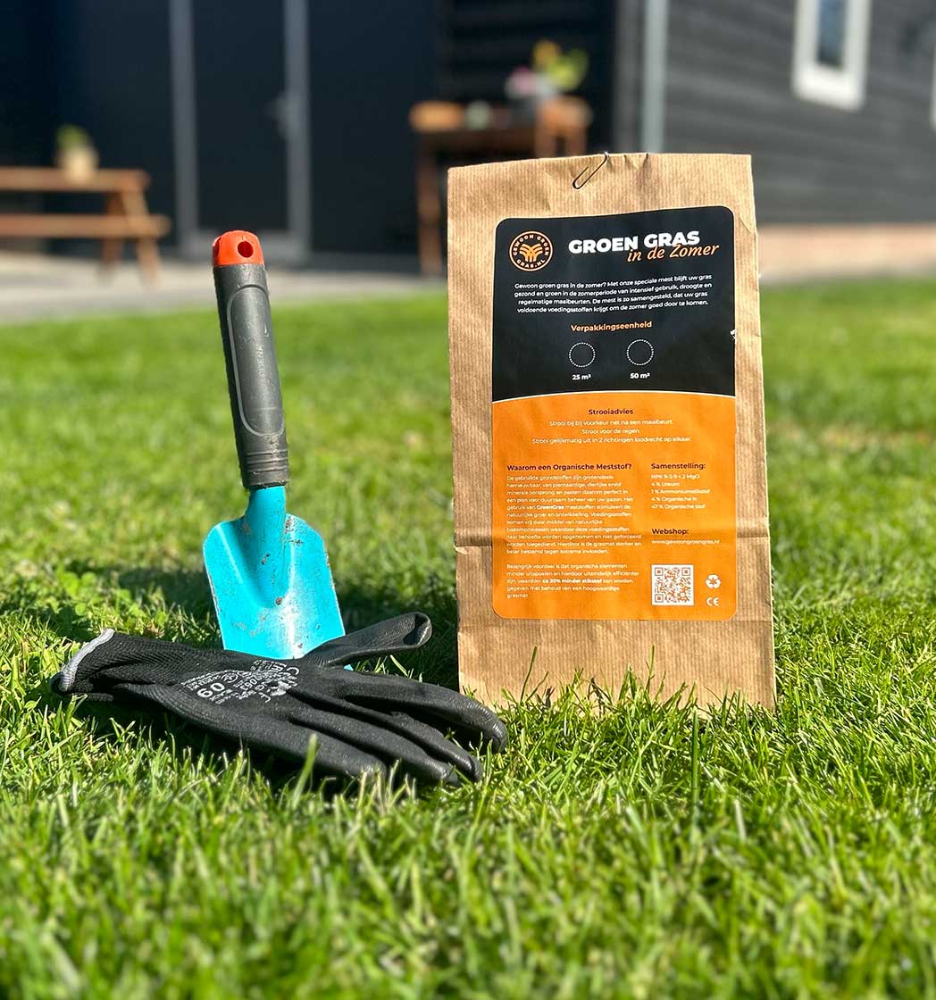 Gewoon Groen Gras in de zomer