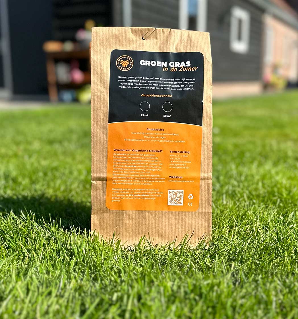 Gewoon Groen Gras in de zomer