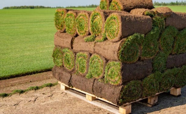 veel gestelde vragen - levertijd graszoden - gewoon groen gras