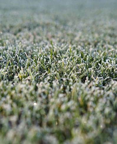 gazononderhoud in de winter