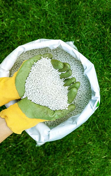 gras onderhoud in het voorjaar - bemesten