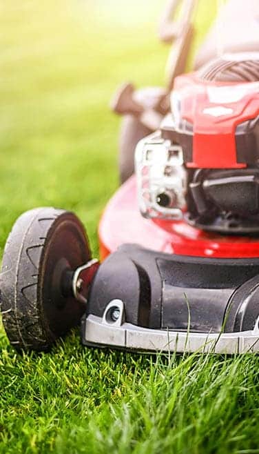 gras onderhoud in het voorjaar - grasmaaien