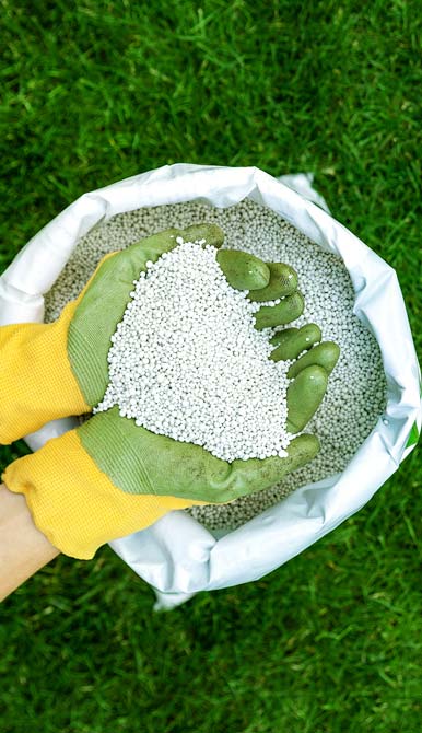 Gras bemesten - Gewoon Groen Gras