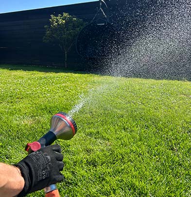 Gazon herstellen na de zomer - Gewoon Groen Gras