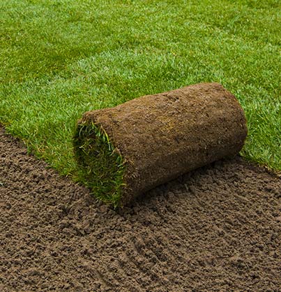 Wanneer graszoden leggen