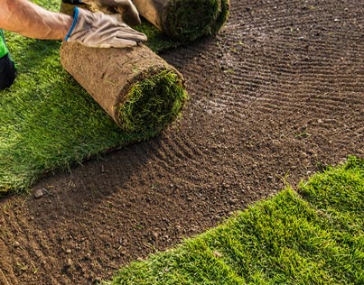 wanneer graszoden leggen