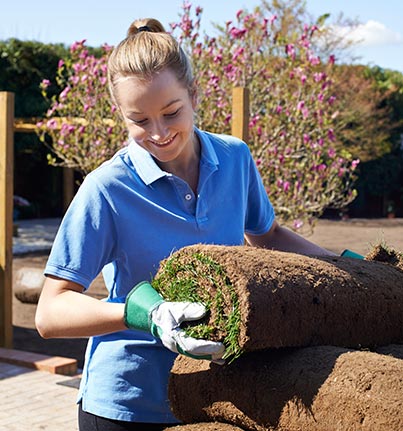 wanneer graszoden leggen