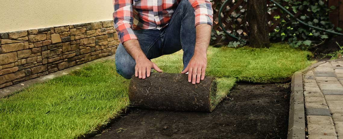 wanneer graszoden leggen