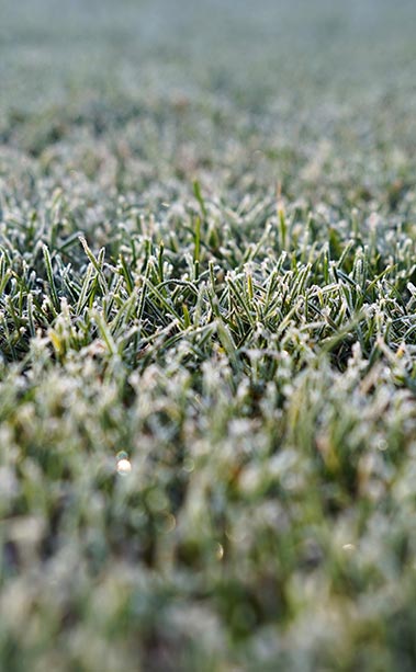 Gazon winterklaar maken