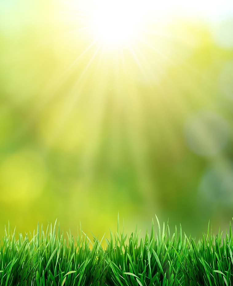 Gazon winterklaar maken