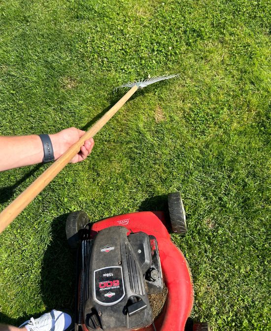 onderhoud gazon voorjaar