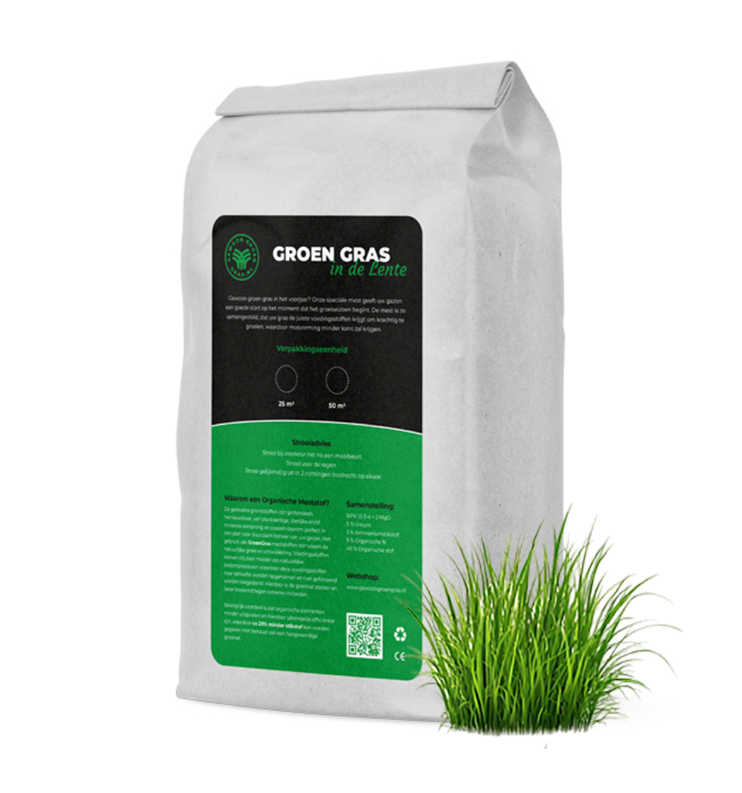 Gewoon Groen Gras in de Lente