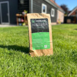 Gewoon Groen Gras in de lente