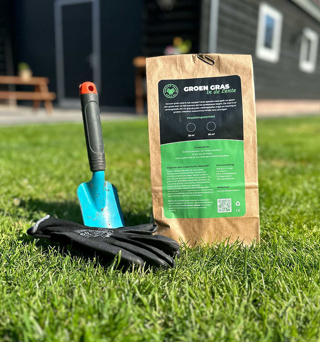 Gewoon Groen Gras in de lente