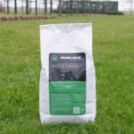 Gewoon Groen Gras in de lente