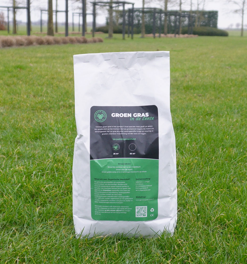 Gewoon Groen Gras in de lente