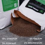 Gewoon Groen Gras in de lente