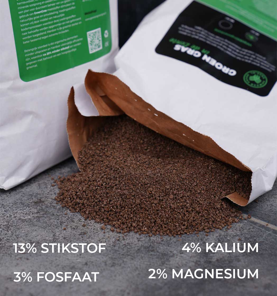 Gewoon Groen Gras in de lente