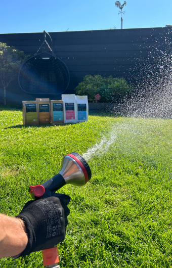 gele plekken in gazon